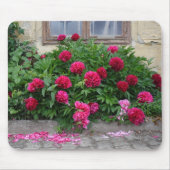 Pfingstrosen Muismat (Voorkant)