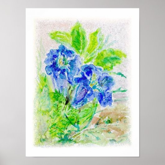 Pflanze blau Blüten Illustration Poster (Voorkant)