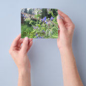 PG Farmstead flyer (Hand)