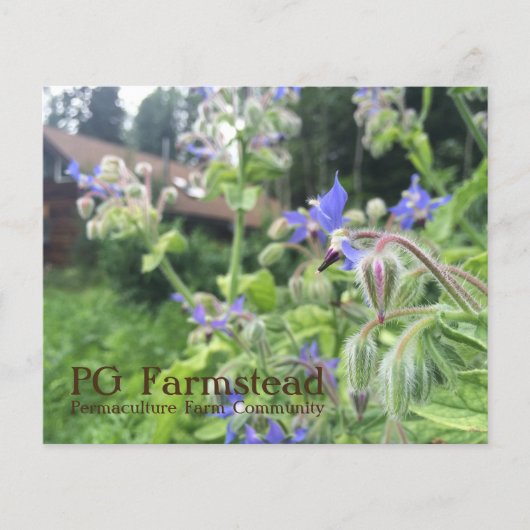 PG Farmstead flyer (Voorkant)