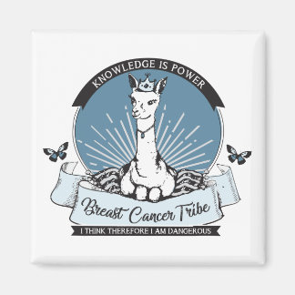 PG magneet, meerdere kleur / vorm / grootte opties Magneet