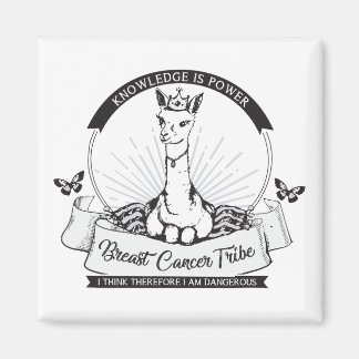 PG magneet, meerdere kleur / vorm / grootte opties Magneet