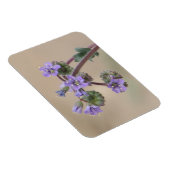 Phacelia Paarse wilde bloemen Magneet (Rechterzijde)