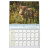 Phacocher Calendar Warthog-kalender Kalender (Jan 2027)