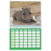 Phacocher Calendar Warthog-kalender Kalender (Mar 2027)