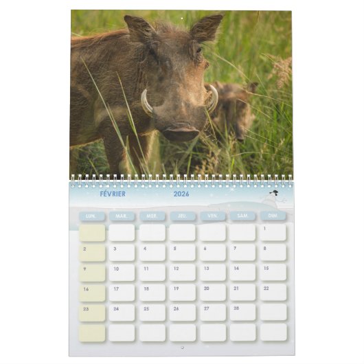 Phacocher Calendar Warthog-kalender Kalender (Feb 2026)