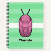 Phacops trilobiet - prehistorisch dier notitieboek (Voorkant)