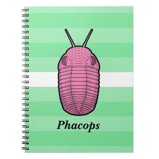 Phacops trilobiet - prehistorisch dier notitieboek (Voorkant)