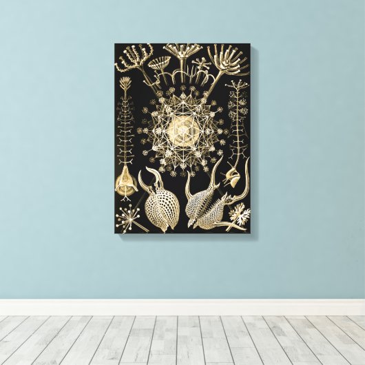 Phaeodaria | 61 Goud | Ernst Haeckel | Canvas Afdruk (Insitu (Houten vloer))