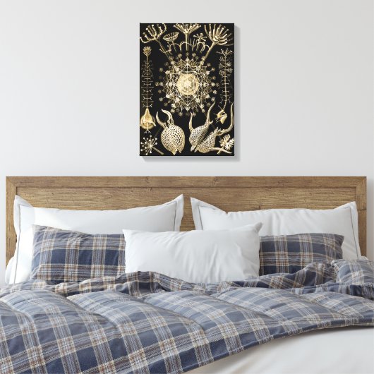 Phaeodaria | 61 Goud | Ernst Haeckel | Canvas Afdruk (Insitu (Slaapkamer))