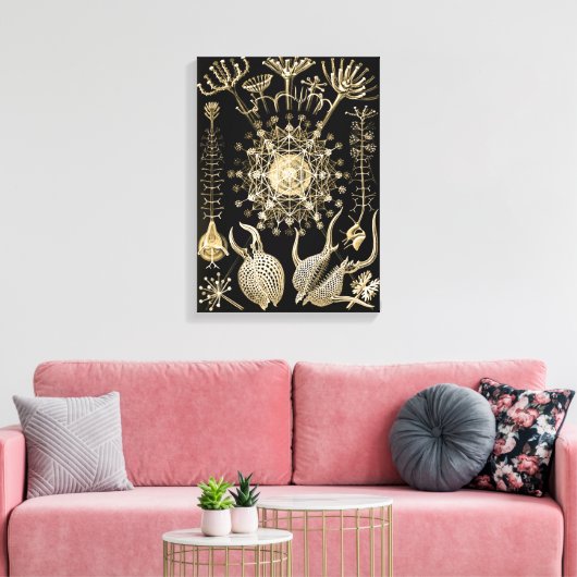 Phaeodaria | 61 Goud | Ernst Haeckel | Canvas Afdruk (Insitu (Woonkamer))