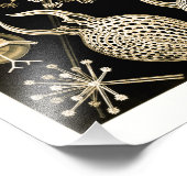 Phaeodaria | 61 Goud | Ernst Haeckel | Foto Afdruk (Hoek)