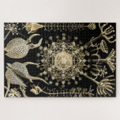 Phaeodaria | 61 Goud | Ernst Haeckel | Legpuzzel (Horizontaal)