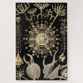 Phaeodaria | 61 Goud | Ernst Haeckel | Legpuzzel (Verticaal)