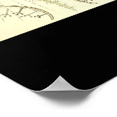 Phaeodaria - Bord 1-Kunstformen der Natur Poster (Hoek)