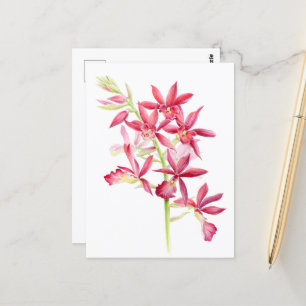 Phaiocalanthe Parkside red orchid waterverf art Briefkaart