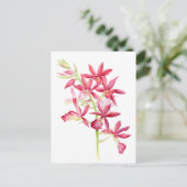 Phaiocalanthe Parkside red orchid waterverf art Briefkaart (Staand voorkant)