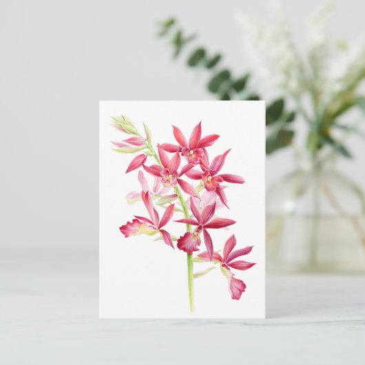 Phaiocalanthe Parkside red orchid waterverf art Briefkaart (Staand voorkant)
