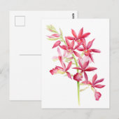 Phaiocalanthe Parkside red orchid waterverf art Briefkaart (Voorkant / Achterkant)