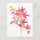 Phaiocalanthe Parkside red orchid waterverf art Briefkaart (Voorkant)