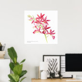 Phaiocalanthe Parkside red orchid waterverf art Poster (Thuiskantoor)
