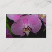 Phalaenopisbloemen Visitekaartje (Achterkant)