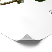 Phalaenopsis amabilis poster (Hoek)