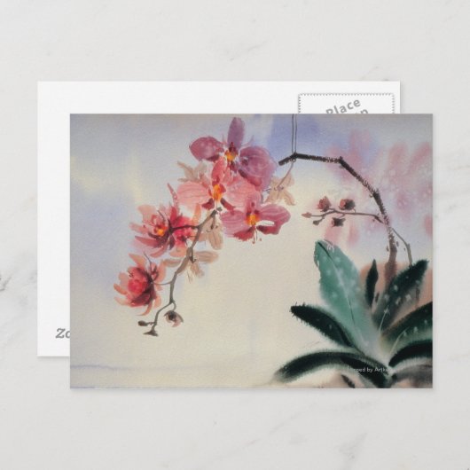 Phalaenopsis Briefkaart (Voorkant / Achterkant)