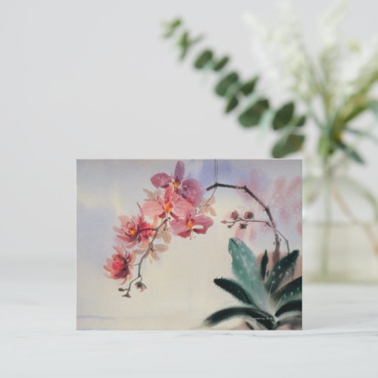 Phalaenopsis Briefkaart (Staand voorkant)