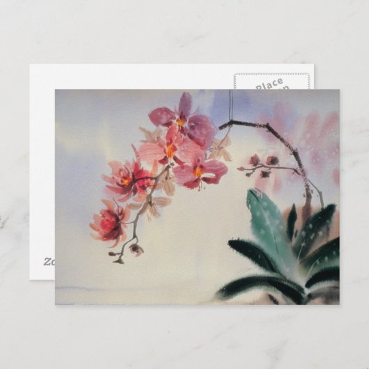 Phalaenopsis Briefkaart (Voorkant / Achterkant)