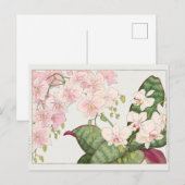 Phalaenopsis door Tanigami Konan Briefkaart (Voorkant / Achterkant)