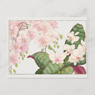Phalaenopsis door Tanigami Konan Briefkaart