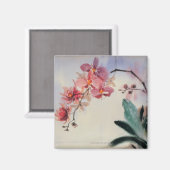 Phalaenopsis Magneet (Voorkant / Achterkant)