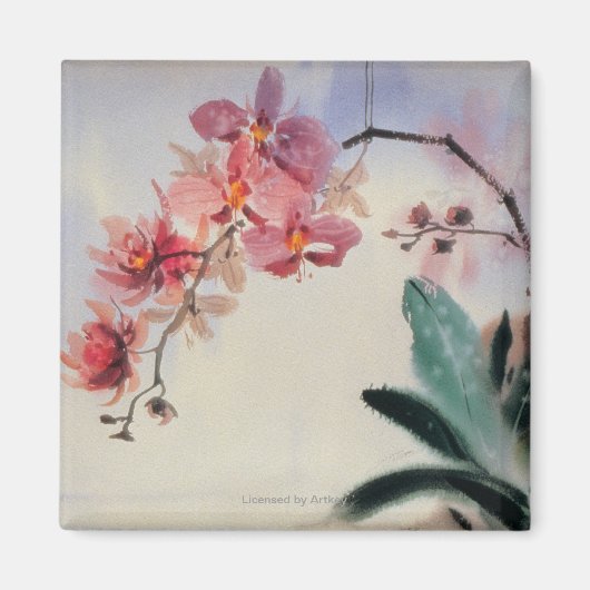 Phalaenopsis Magneet (Voorkant)