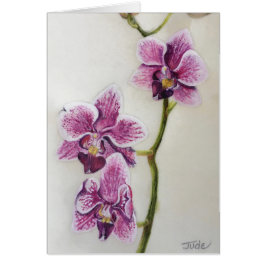 Phalaenopsis "Moth Orchid" 5 x 7" met envelop
