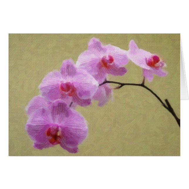 Phalaenopsis Orchid (Voorkant Horizontaal)