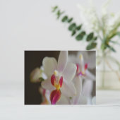 Phalaenopsis Orchid Briefkaart (Staand voorkant)