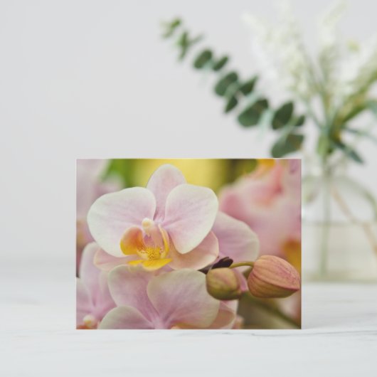 Phalaenopsis Orchid Briefkaart (Staand voorkant)
