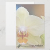 Phalaenopsis Orchid Briefpapier (Voorkant / Achterkant)