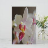 Phalaenopsis Orchid Briefpapier (Staand voorkant)