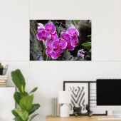 Phalaenopsis Orchid in Natural Habitat Poster (Thuiskantoor)