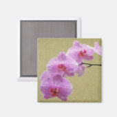 Phalaenopsis Orchid Magneet (Voorkant / Achterkant)