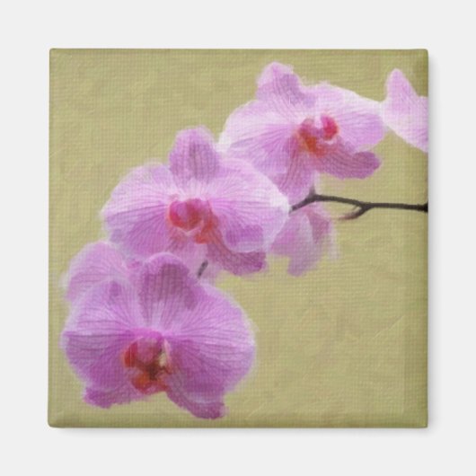 Phalaenopsis Orchid Magneet (Voorkant)