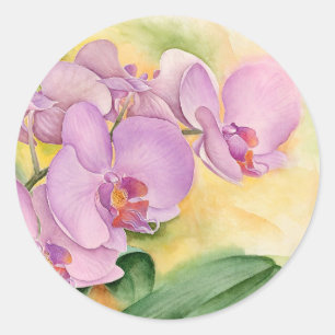 Phalaenopsis Orchidee Bloemen - Multi Ronde Sticker