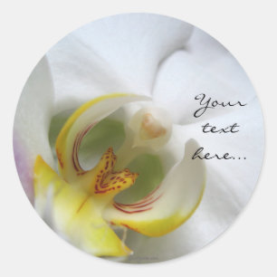 Phalaenopsis Orchidee bruiloft uitnodiging zegels