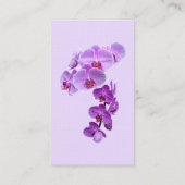 Phalaenopsis orchideeën groot en klein visitekaartje (Achterkant)