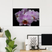 Phalaenopsis Orchideeën Poster (Thuiskantoor)