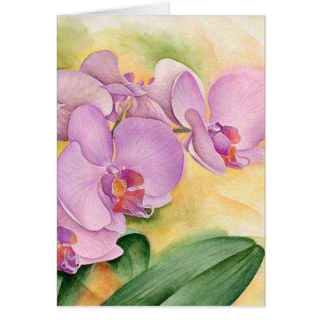 Phalaenopsis Orchids Roze Purple Flowers (Voorkant)