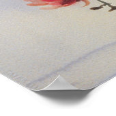 Phalaenopsis Poster (Hoek)