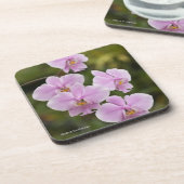 Phalaenopsis Schilleriana Bier Onderzetter (Linkerzijde)